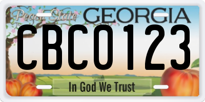 GA license plate CBC0123