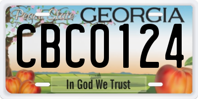 GA license plate CBC0124