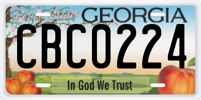 GA license plate CBC0224