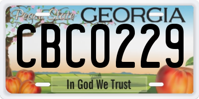 GA license plate CBC0229