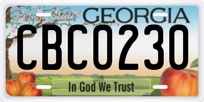 GA license plate CBC0230