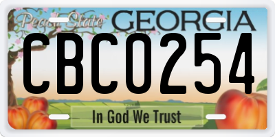 GA license plate CBC0254