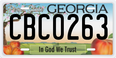 GA license plate CBC0263