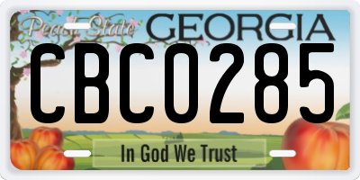 GA license plate CBC0285