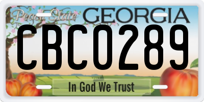 GA license plate CBC0289