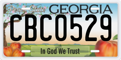 GA license plate CBC0529