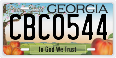 GA license plate CBC0544