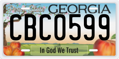 GA license plate CBC0599