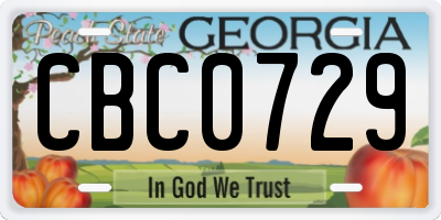 GA license plate CBC0729