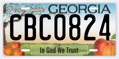 GA license plate CBC0824