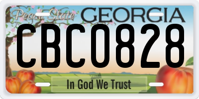 GA license plate CBC0828