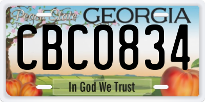 GA license plate CBC0834