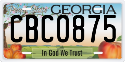 GA license plate CBC0875
