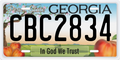 GA license plate CBC2834