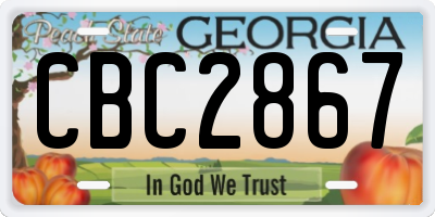GA license plate CBC2867