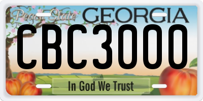 GA license plate CBC3000