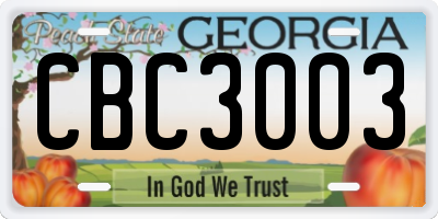 GA license plate CBC3003
