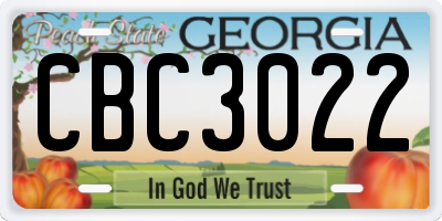 GA license plate CBC3022