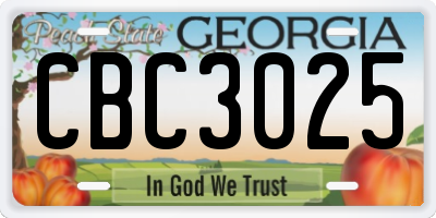 GA license plate CBC3025
