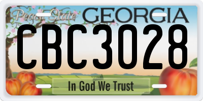 GA license plate CBC3028