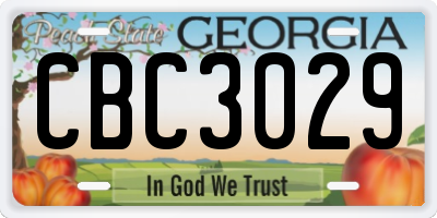 GA license plate CBC3029