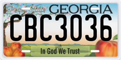 GA license plate CBC3036