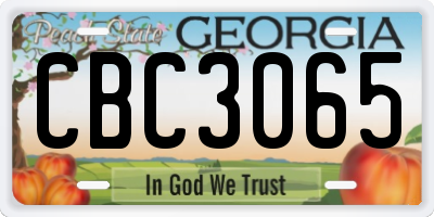 GA license plate CBC3065