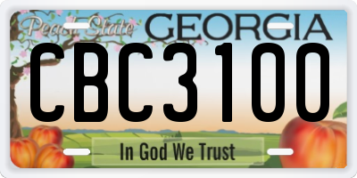GA license plate CBC3100