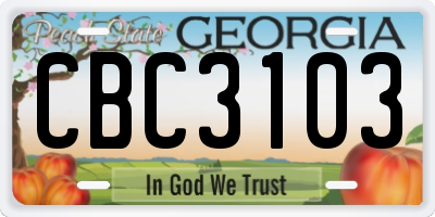 GA license plate CBC3103