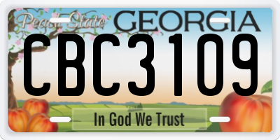 GA license plate CBC3109