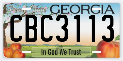 GA license plate CBC3113