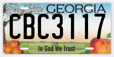 GA license plate CBC3117