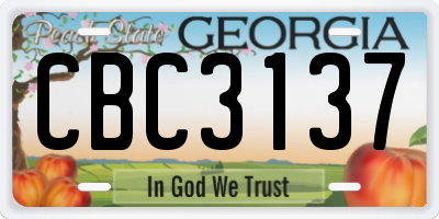 GA license plate CBC3137