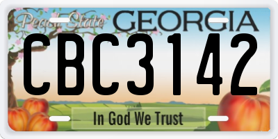 GA license plate CBC3142