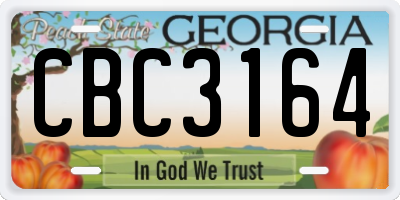 GA license plate CBC3164