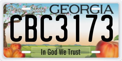 GA license plate CBC3173