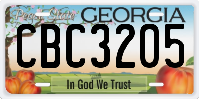 GA license plate CBC3205