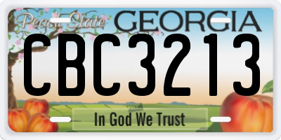GA license plate CBC3213