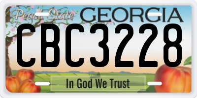 GA license plate CBC3228