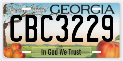 GA license plate CBC3229