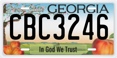GA license plate CBC3246