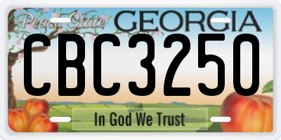 GA license plate CBC3250