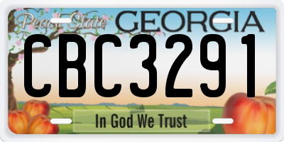 GA license plate CBC3291