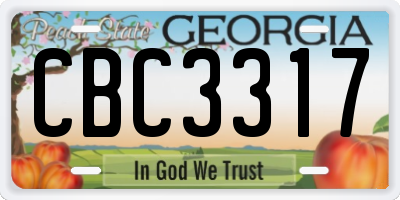 GA license plate CBC3317