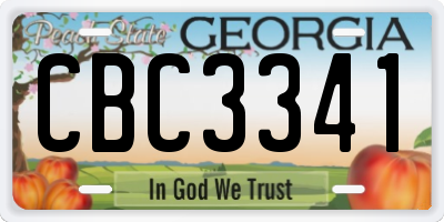 GA license plate CBC3341