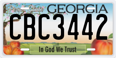GA license plate CBC3442