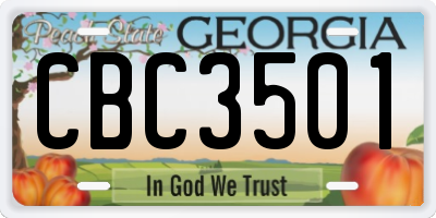 GA license plate CBC3501