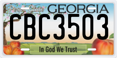 GA license plate CBC3503