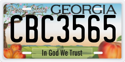 GA license plate CBC3565