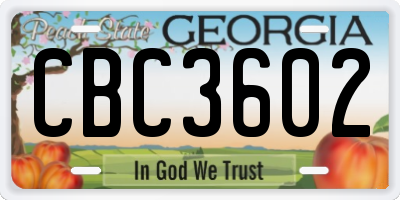 GA license plate CBC3602